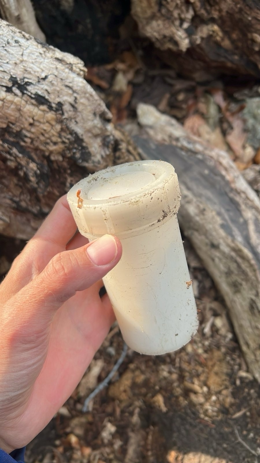 A hand is holding a small, worn white plastic container outdoors near some logs.