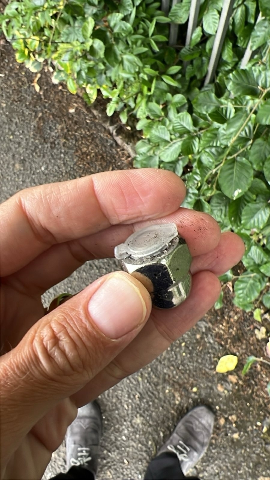 A person is holding a shiny, metallic hexagonal nut near some greenery on a paved path.